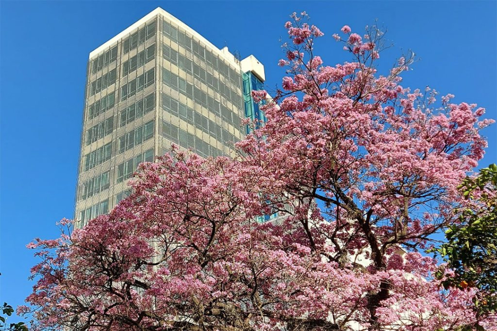 1er Dictamen Recomendaciones del Código de Planeamiento Urbano