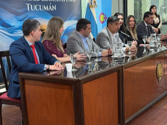 Fundación Ciudadanía Positiva