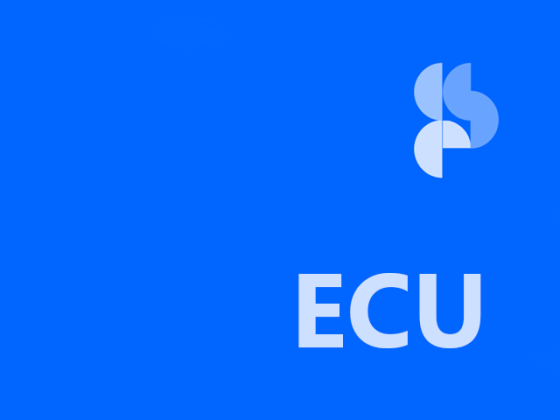 4ta Sesión de Comisión - ECU