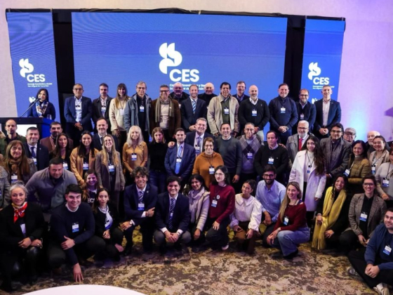 El CES definió la agenda de trabajo de sus comisiones para el segundo semestre