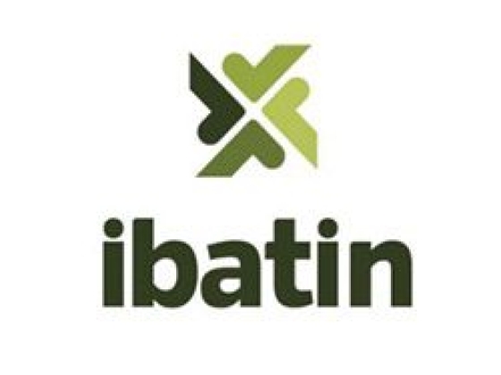 Proyecto Metropolitano Ibatín