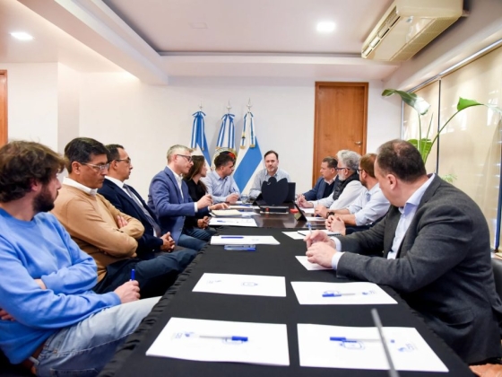 El CES evaluó nuevos proyectos para reforzar la participación ciudadana en el gobierno de la ciudad